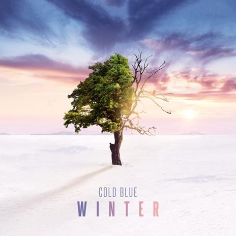 Winter - CD Audio di Cold Blue