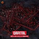 Qapital 2019