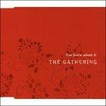 You Learn About It - CD Audio di Gathering