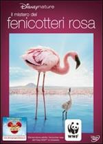 Il mistero dei fenicotteri rosa