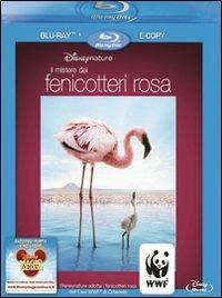 Il mistero dei fenicotteri rosa di Matthew Aeberhard,Leander Ward - Blu-ray