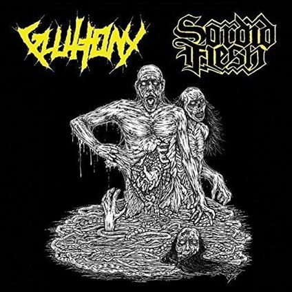 Split - CD Audio di Gluttony-Sordid Flesh