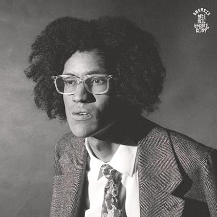 Are You There, Boy? -Coloured- - Vinile LP di Beharie