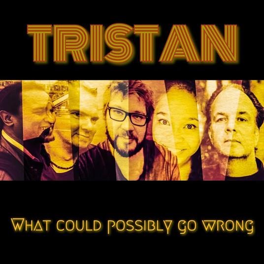 What Could Possibly Go Wrong - CD Audio di Tristan