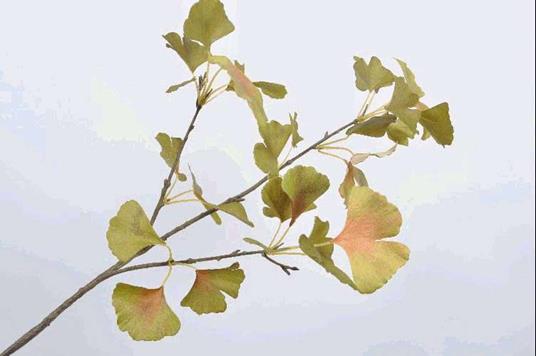 Ramo Di Ginkgo Decorativo 84cm Verde Decorazione Addobbi Natale