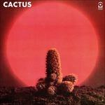 Cactus (180 gr.)