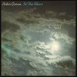In the Skies (180 gr. + Gatefold Sleeve) - Vinile LP di Peter Green