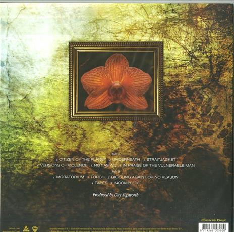 Flavors of Entanglement (180 gr.) - Vinile LP di Alanis Morissette - 2