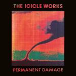 Permanent Damage