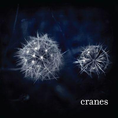 Cranes - Vinile LP di Cranes