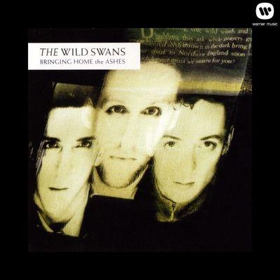 Bringing Home The Ashes - Vinile LP di Wild Swans