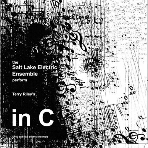 In C - Vinile LP di Terry Riley