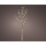 Micro Led Ramo Rustic Micro Led  Indoor Bianco Caldo