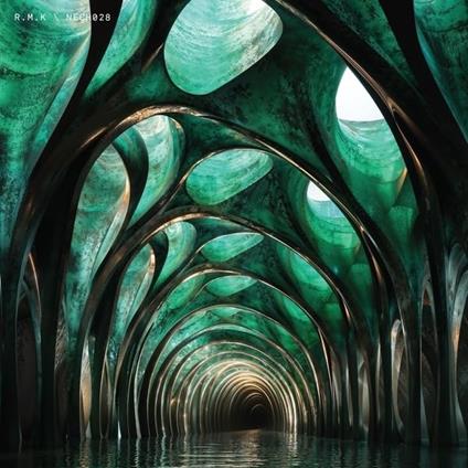 Nech028 - Vinile LP di RMK