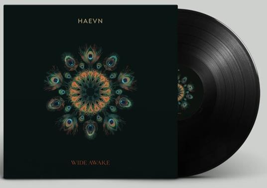 Wide Awake - Vinile LP di Haevn