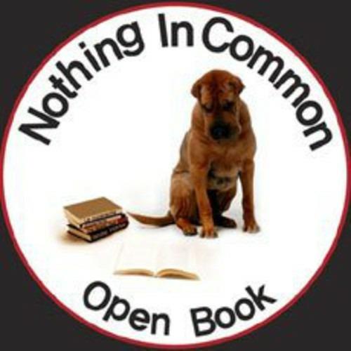 Open Book - CD Audio di Nothing in Common