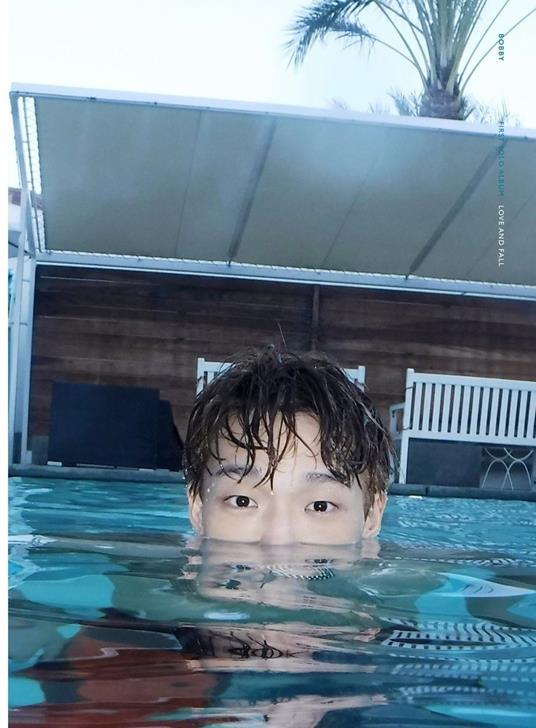 Love and Fall - CD Audio di Bobby