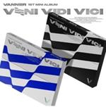 Veni Vidi Vici