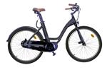E-Bike Lexgo CT26 Bicicletta Elettrica Doppio Freno a Disco Sella in Pelle Luce Frontale 250W Nero