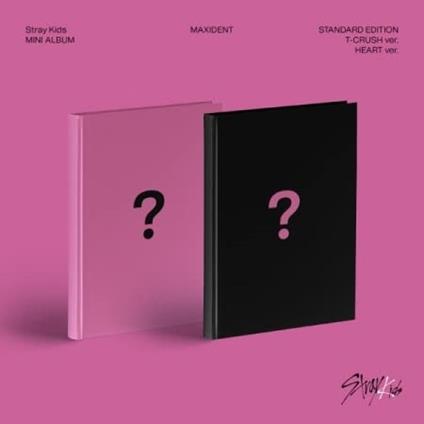 Maxident - CD Audio di Stray Kids