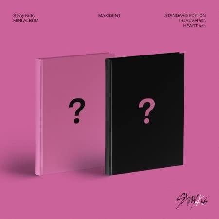 Maxident - CD Audio di Stray Kids