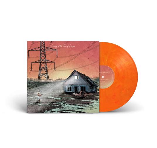 Dancing In The Face Of Danger (Orange Vinyl) - Vinile LP di Exploring Birdsong - 2