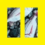 Mpt ( Max Plattner Trio ) - Ii