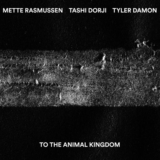 To the Animal Kingdom - CD Audio di Tashi Dorji,Mette Rasmussen,Tyler Damon