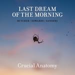 Last Dream of the Morning