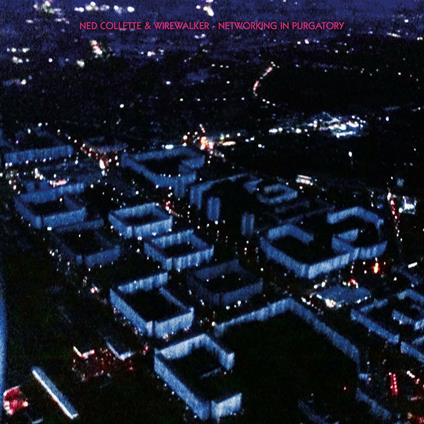 Networking In Purgatory - Vinile LP di Ned Collette