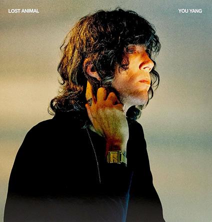 You Yang - CD Audio di Lost Animal