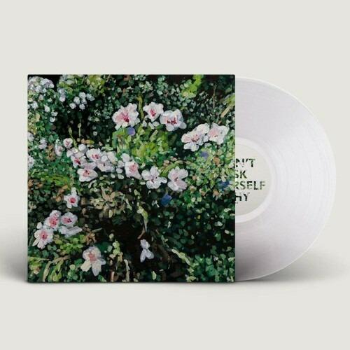 Don't Ask Yourself Why - Vinile LP di Jess Locke