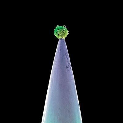 New Blood - CD Audio di Peter Gabriel