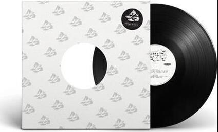 Sampler 12 - Vinile LP