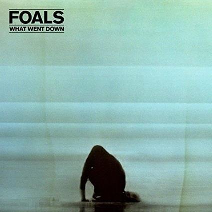 What Went Down - CD Audio + DVD di Foals