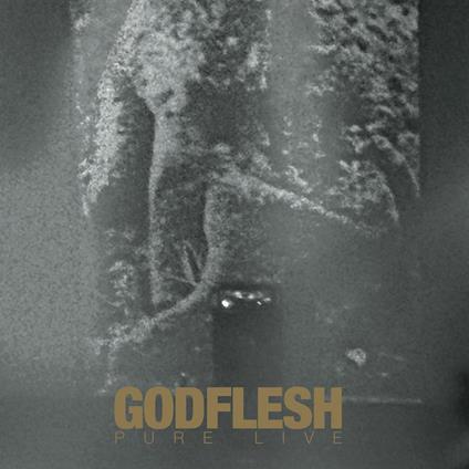 Pure. Live (Gold Edition) - Vinile LP di Godflesh