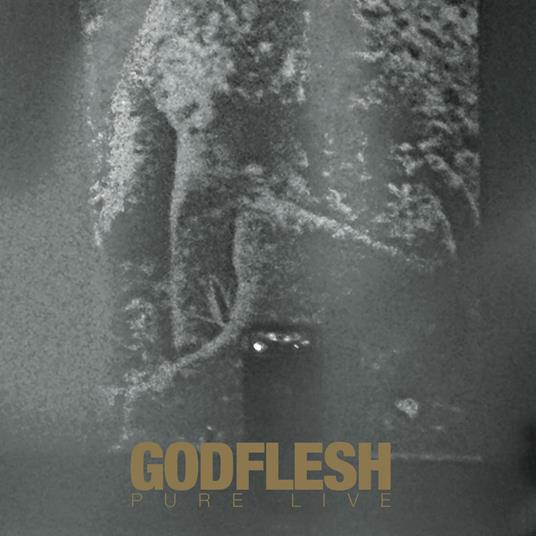 Pure. Live (Gold Edition) - Vinile LP di Godflesh