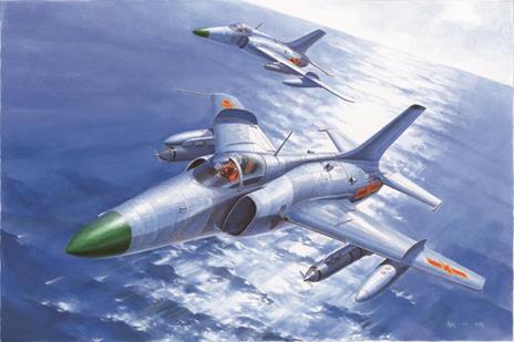 Nanchang Q-5 Yi Fighter 1:72 Plastic Model Kit Riptr 01684