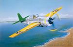 Grumman F4F-3 Wildcat Early Fighter 1:32 Plastic Model Kit Riptr 02255