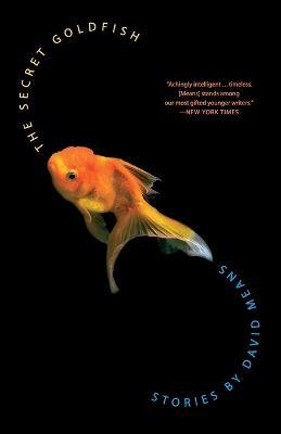 The Secret Goldfish - David Means - cover