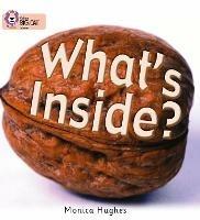 What’s Inside?: Band 02a/Red a - Monica Hughes - cover