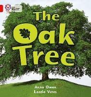 The Oak Tree: Band 02b/Red B - Anna Owen - cover