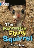 The Fantastic Flying Squirrel: Band 04/Blue