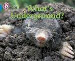 What’s Underground: Band 04/Blue
