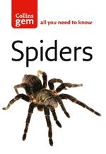 Spiders