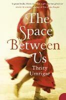The Space Between Us - Thrity Umrigar - cover