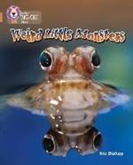 Weird Little Monsters: Band 12/Copper