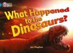 What Happened to the Dinosaurs?: Band 13/Topaz