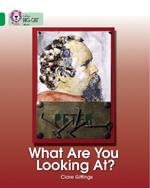 What Are You Looking At?: Band 15/Emerald
