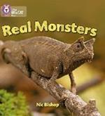 Real Monsters: Band 03/Yellow